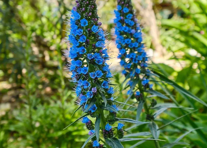 With A Parking Space *