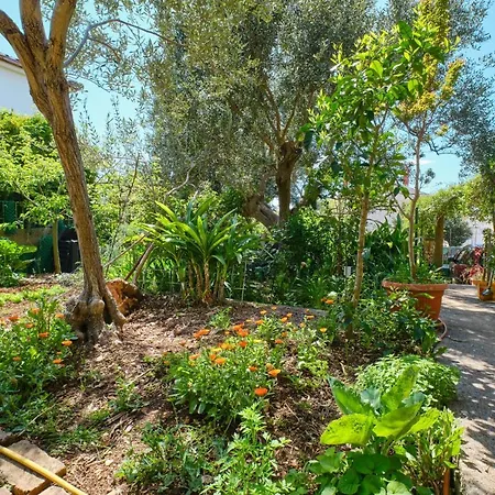 Lägenhet With A Parking Space